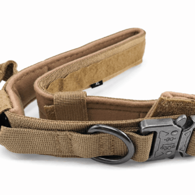 Adventure Control Collar