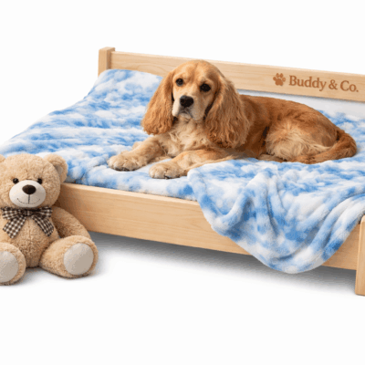 🐕 Classic Canine Suite (Mattress included)